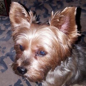 Meet your Posher, Gabriel